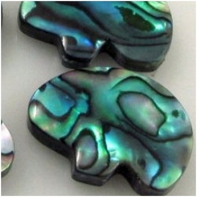 1 Paua Shell  A bear fetish bead 18mm (N)