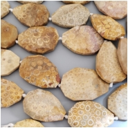 Fossilized Coral Faceted Slab Gemstone Bead (N) Approximate size 28.47 x 41.09mm to 35.75 x 44.61mm 17 inches CLOSEOUT