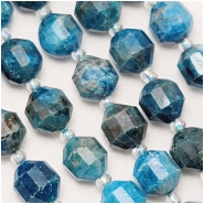 Neon Apatite 10mm Energy Prism Faceted Bead Strand (N)