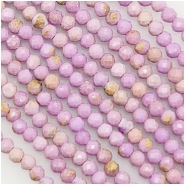 Phosphosiderite Faceted Round Gemstone Beads (N) Approximate size 2.5mm 15 inches
