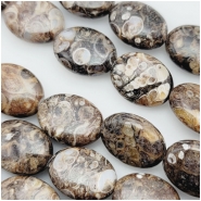 Turritella Agate Oval Gemstone Beads (N) Approximate size 12.5 x 16mm15.75 inches
