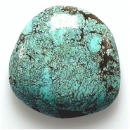 1 Hubei Turquoise Freeform Gemstone Cabochon (S) 32.6 x 32.15mm