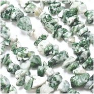 Tree Agate Gemstone Chip Beads (N) 1.5 to 12.5mm 32 inches