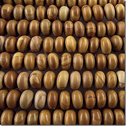 Scene Jasper rondelle gemstone beads (N) 6.1 to 6.3mm CLOSE OUT!