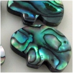 1 Paua Shell  A bear fetish bead 18mm (N)