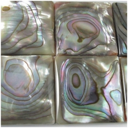 1 Abalone AAA square cabochon 25mm (N)