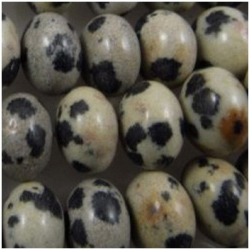 Dalmatian Jasper puff rondelle 8mm CLOSE OUT! gemstone beads (N)