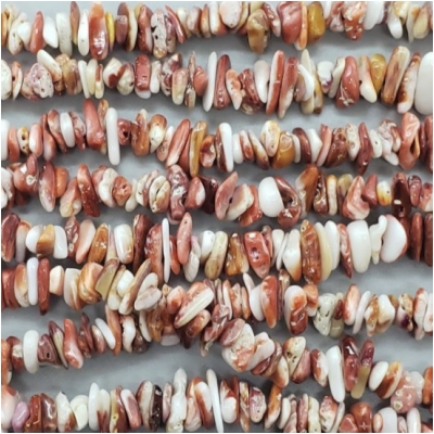 Spiny Shell Oyster Chip Gemstone Bead (N) Approximate size 3.3 to 10.33mm x 1.28 to 3.18mm, 16 inches CLOSEOUT