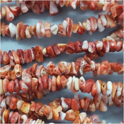 Spiny Shell Oyster Chip Gemstone Bead (N) Approximate size 2.50 to 7.01mm x 1.31 to 3.96mm, 16 inches CLOSEOUT
