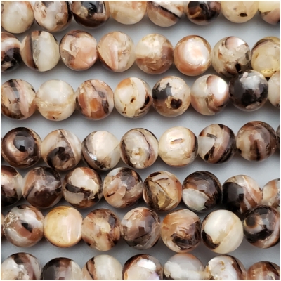 8 Zebra Troca Shell Tip Solid Round Bead Rare Extra Large (N) Approximate size 12.2 to 12.7mm CLOSEOUT