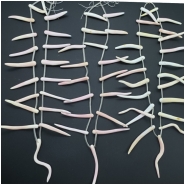 Pink Shell Graduated Branch Top Drilled Bead (N) Approximate size 28 to 68mm 15.5 to 16 inches  CLOSEOUT
