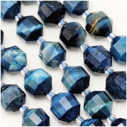 Blue Tiger Eye 10mm Energy Prism Faceted Bead Strand (DH)