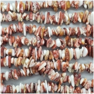 Spiny Shell Oyster Chip Gemstone Bead (N) Approximate size 3.3 to 10.33mm x 1.28 to 3.18mm, 16 inches CLOSEOUT