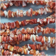 Spiny Shell Oyster Chip Gemstone Bead (N) Approximate size 2.50 to 7.01mm x 1.31 to 3.96mm, 16 inches CLOSEOUT