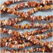 Spiny Shell Oyster Chip Gemstone Bead (N) Approximate size 3.0 to 9.68mm x 1.78 to 4.11mm, 16 inches CLOSEOUT