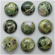 4 Rain Forest Jasper Round Cabochon Gemstone (N) 11.90 to 12.26mm CLOSEOUT
