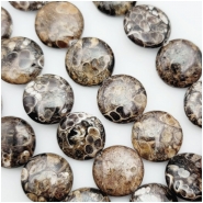Turritella Agate Coin Gemstone Beads (N) Approximate size 20mm 15.5 inches