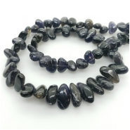 Iolite Chips and Nuggets Center Drilled Graduated Gemstone Beads (N) Approximate size 4.7 x 7.2mm to 7 x 15.2mm 15.75 to 16 inches CLOSEOUT