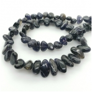 Iolite Chips and Nuggets Center Drilled Graduated Gemstone Beads (N) Approximate size 4.7 x 7.2mm to 7 x 15.2mm 15.75 to 16 inches