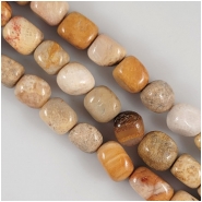 Fossil Coral Tumbled Nugget Gemstone Beads (N) Approximate size 8 x 10mm 8 inches