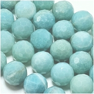 Amazonite 10mm Micro Faceted Round Gemstone Beads (N) 15 inches