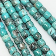 Campitos Turquoise Barrel Gemstone Beads (S) 5 x 6mm 9 inch