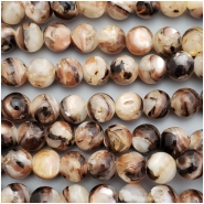 8 Zebra Troca Shell Tip Solid Round Bead Rare Extra Large (N) Approximate size 12.2 to 12.7mm CLOSEOUT