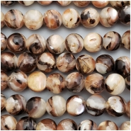10 Zebra Trocha Shell Tip Solid Round Bead Rare Large (N) Approximate size 10.4mm CLOSEOUT