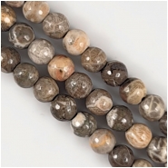 Fossil Stone Faceted Round Big Hole Gemstone Beads (N) Approximate Size 8mm 7.5 inches