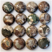 2 Green Flower Jasper 18mm Round Gemstone Cabochon (N)