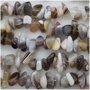 Botswana Agate Chip Gemstone Beads (N) Approximate size 5.82 x 6.8mm to 7.3 x 13.9mm 16.5 to 17 inches
