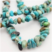 Turquoise Carico Lake Small Nugget Multi Color Graduated Gemstone Beads (N) 3.2 to 10.5mm 18.5 inches