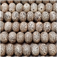 Bodhi Lotus Seed Rondelle Beads (N) Approximate size 7.5 x 11mm 34 inches