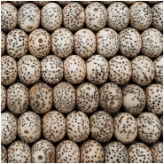 Bodhi Lotus Seed Rondelle Beads (N) Approximate size 7.5 x 10mm 33 inches