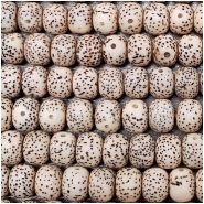 Bodhi Lotus Seed Thick Wheel Beads (N) Approximate size 7 x 9mm 30 inches