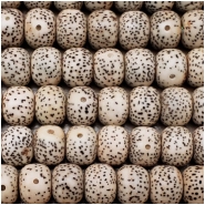Bodhi Lotus Seed Thick Wheel Beads (N) Approximate size 8 x 10mm 35 inches