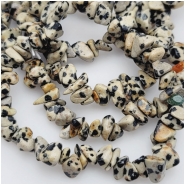 Dalmation Jasper Chip Gemstone Beads (N) Approximate size 1.4 to 13mm 7.5 inches
