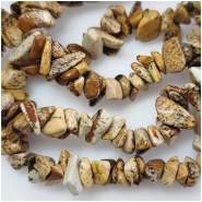 Picture Jasper Chip Gemstone Beads (N) Approximate size 2.3 to 14.3mm 7.5 inches