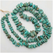 Fox Turquoise Graduated Small Nugget Gemstone Beads (N) 4.5 x 5.3mm to 7 x 12.7mm 18.5 inches