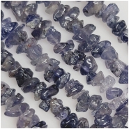 Iolite Chip Gemstone Beads (N) 1.4 to 11.3mm 34 inches