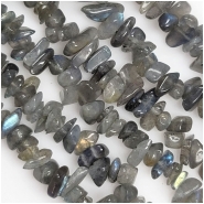 Labradorite Chip Gemstone Beads (N) 1.4 to 12.2mm 35 inches