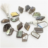 Labradorite Faceted Freeform Slice AA Gemstone Beads (N) 12.6 x 16.3mm to 14 x 22mm 8 inches