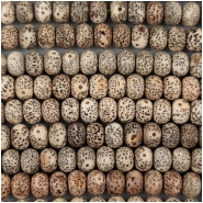 Bodhi Lotus Seed Rondelle Beads Mix Color (N) Approximate size 6.5 x 9mm 29 inches