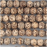 Bodhi Lotus Seed Near Round Beads (N) Approximate size 6mm 24 to 25 inches
