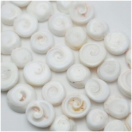 Shiva Shell Slice Freeform Beads (N) 11.7 to 18.2mm 16 inches