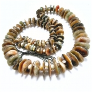 Abalone Shell Graduated Disc Beads (N) 8 to 15mm 18 inches