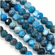 Neon Apatite Faceted Rondelle Gemstone Beads (N) 4mm 15.25 inches