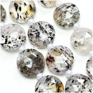 Included Quartz Faceted Coin Grade AAA Gemstone Beads (N) 10mm 8 inches